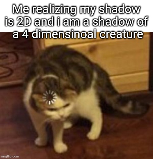 Loading cat | Me realizing my shadow is 2D and i am a shadow of
 a 4 dimensinoal creature | image tagged in loading cat | made w/ Imgflip meme maker