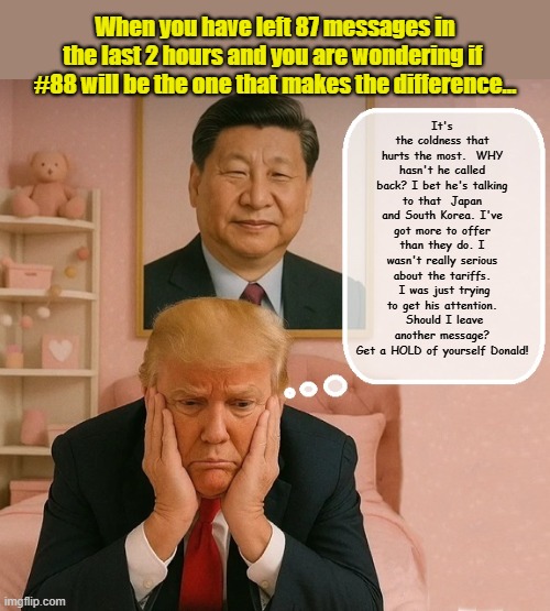 Donald Trump in an act of desperation.... | When you have left 87 messages in the last 2 hours and you are wondering if  #88 will be the one that makes the difference... It's the coldness that hurts the most.  WHY hasn't he called back? I bet he's talking to that  Japan and South Korea. I've got more to offer than they do. I wasn't really serious about the tariffs.  I was just trying to get his attention.  Should I leave another message? Get a HOLD of yourself Donald! | image tagged in impeach trump,donald trump memes,china,tariffs,trump is a moron,government corruption | made w/ Imgflip meme maker