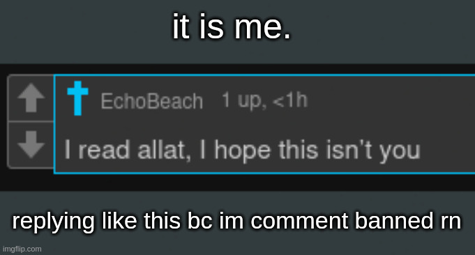 it is me. replying like this bc im comment banned rn | made w/ Imgflip meme maker