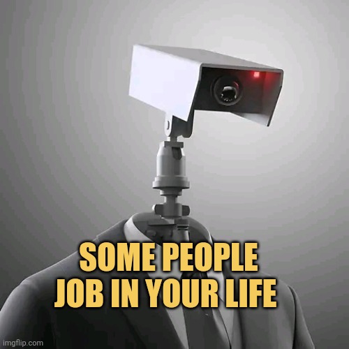Monitoring People | SOME PEOPLE JOB IN YOUR LIFE | image tagged in funny memes,in real life | made w/ Imgflip meme maker