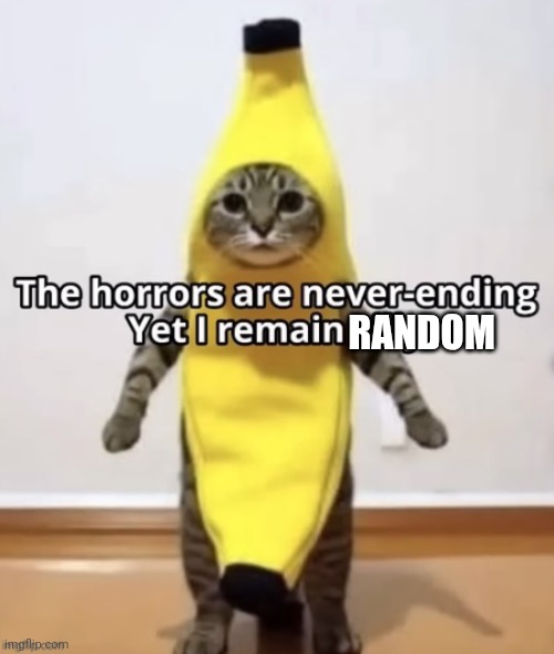 The horrors are never-ending Yet I remain silly | RANDOM | image tagged in the horrors are never-ending yet i remain silly | made w/ Imgflip meme maker