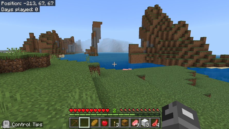 bro goofy seed dawg | image tagged in seeds,minecraft | made w/ Imgflip meme maker