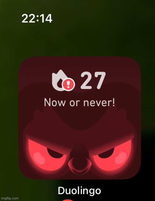 Im fucked | image tagged in duolingo | made w/ Imgflip meme maker