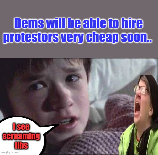 I see screaming libs | Dems will be able to hire protestors very cheap soon.. I see screaming libs | image tagged in memes,i see dead people | made w/ Imgflip meme maker