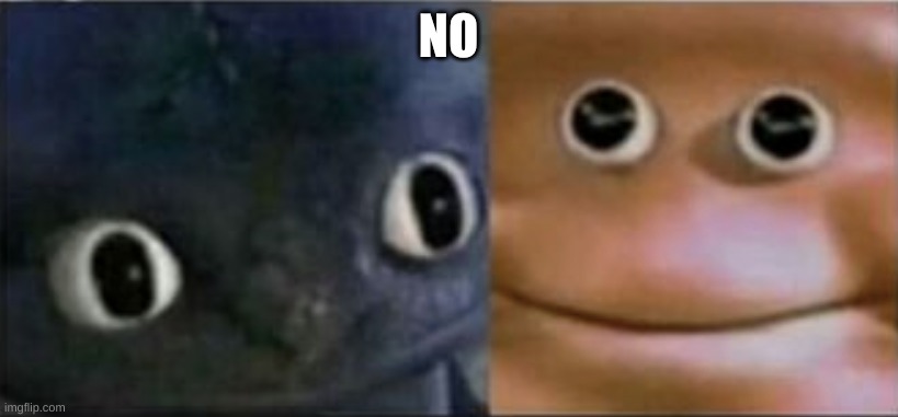 no | NO | image tagged in blank stare dragon,no | made w/ Imgflip meme maker