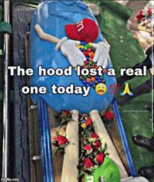 The hood lost a real one today | image tagged in the hood lost a real one today | made w/ Imgflip meme maker