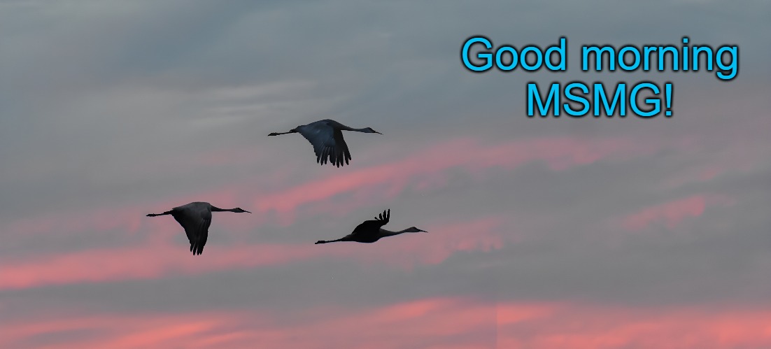 Good morning
MSMG! | made w/ Imgflip meme maker
