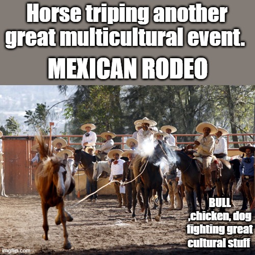 Horse triping another great multicultural event. MEXICAN RODEO; BULL ,chicken, dog fighting great cultural stuff | made w/ Imgflip meme maker