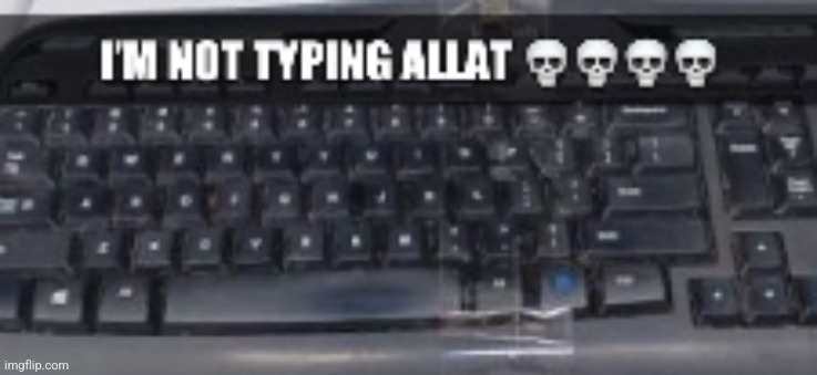 im not typing allat | image tagged in im not typing allat | made w/ Imgflip meme maker