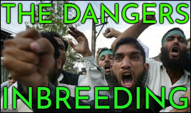 The Dangers Of Inbreeding | THE DANGERS; INBREEDING | image tagged in islamic rage boy,mental health,inbred,radical islam,islamic terrorism,anti-religion | made w/ Imgflip meme maker