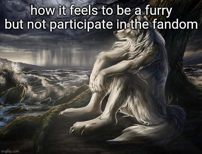 lone wolf | how it feels to be a furry but not participate in the fandom | image tagged in lone wolf | made w/ Imgflip meme maker