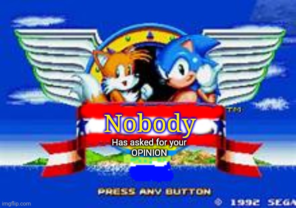 sonic 2 | Nobody Has asked for your
OPINION | image tagged in sonic 2 | made w/ Imgflip meme maker
