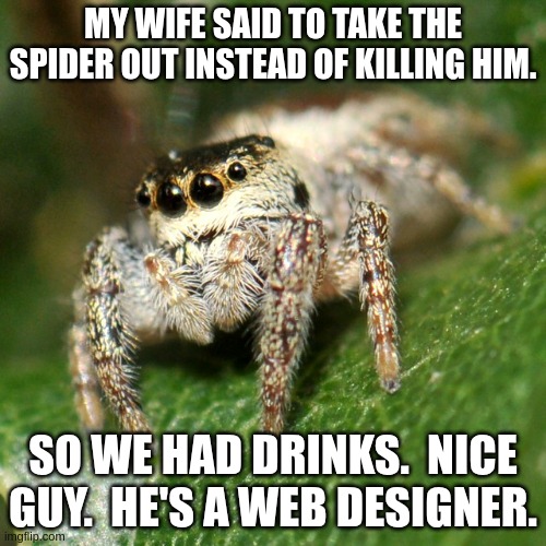 Spider Buddy | MY WIFE SAID TO TAKE THE SPIDER OUT INSTEAD OF KILLING HIM. SO WE HAD DRINKS.  NICE GUY.  HE'S A WEB DESIGNER. | image tagged in spider,bad pun,drinks | made w/ Imgflip meme maker