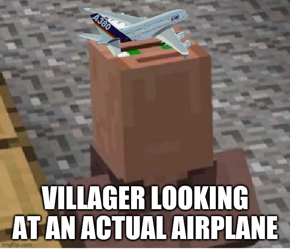 villager looking at an actuall plane | VILLAGER LOOKING AT AN ACTUAL AIRPLANE | image tagged in minecraft villager looking up | made w/ Imgflip meme maker