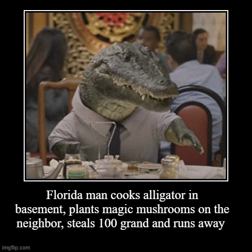 florida news | Florida man cooks alligator in basement, plants magic mushrooms on the neighbor, steals 100 grand and runs away | | image tagged in funny,alligator,florida man | made w/ Imgflip demotivational maker