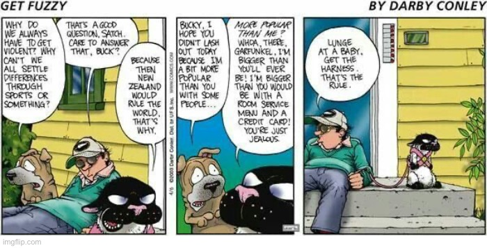 image tagged in comics,get fuzzy,harness,getting violent,cat and dog | made w/ Imgflip meme maker
