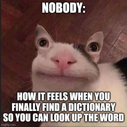 I can finally look up the word | NOBODY:; HOW IT FEELS WHEN YOU FINALLY FIND A DICTIONARY SO YOU CAN LOOK UP THE WORD | image tagged in derp cat,relatable,jpfan102504 | made w/ Imgflip meme maker