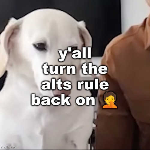 uh | y'all turn the alts rule back on 🤦 | image tagged in uh | made w/ Imgflip meme maker