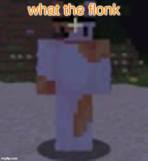 Nox | what the flonk | image tagged in nox | made w/ Imgflip meme maker