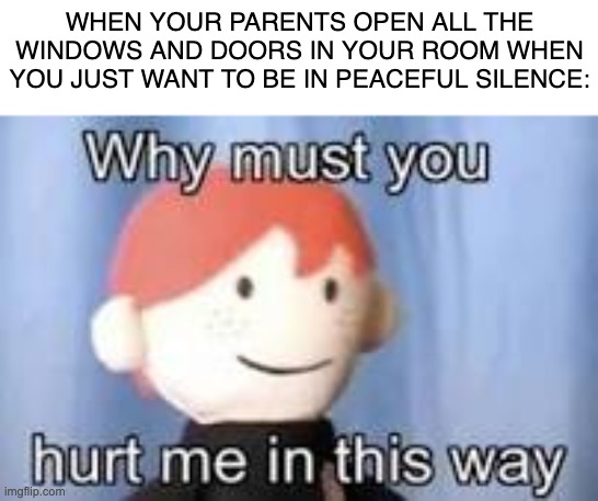 Anyone else relate? | WHEN YOUR PARENTS OPEN ALL THE WINDOWS AND DOORS IN YOUR ROOM WHEN YOU JUST WANT TO BE IN PEACEFUL SILENCE: | image tagged in why must you hurt me in this way | made w/ Imgflip meme maker