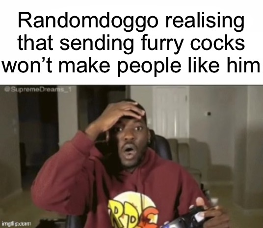 we have not | Randomdoggo realising that sending furry cocks won’t make people like him | image tagged in we have not,msmg | made w/ Imgflip meme maker