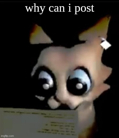 GWUH???????? | why can i post | image tagged in gwuh | made w/ Imgflip meme maker