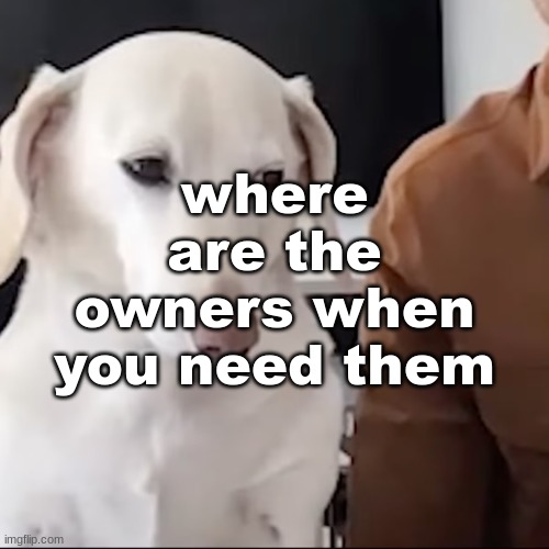 uh | where are the owners when you need them | image tagged in uh | made w/ Imgflip meme maker