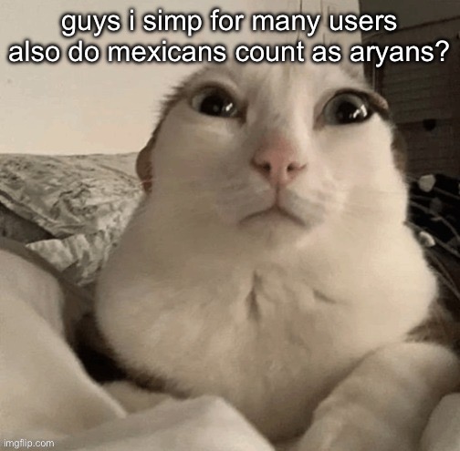 goober | guys i simp for many users also do mexicans count as aryans? | image tagged in goober | made w/ Imgflip meme maker