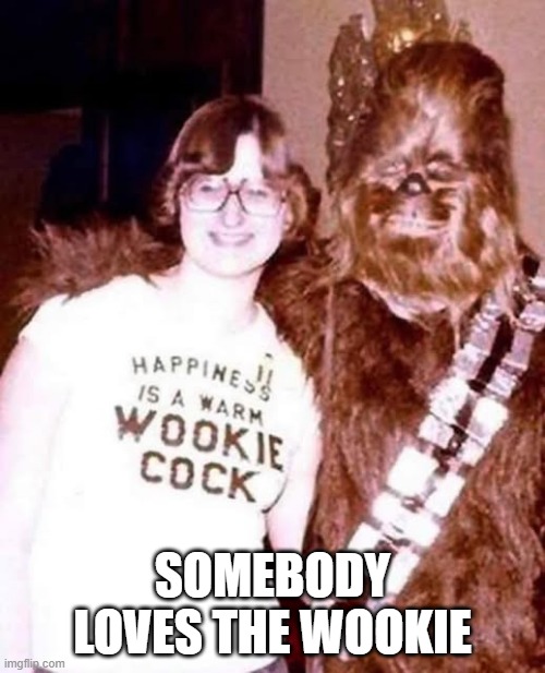 Hot Furry Love | SOMEBODY LOVES THE WOOKIE | image tagged in chewbacca | made w/ Imgflip meme maker