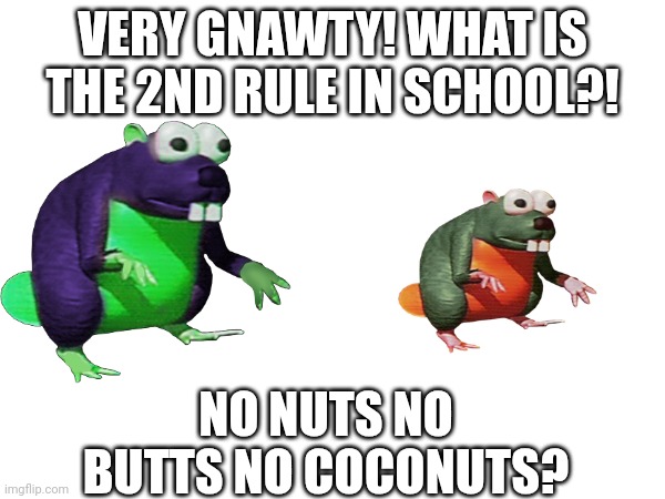 Meme gnawtyer | VERY GNAWTY! WHAT IS THE 2ND RULE IN SCHOOL?! NO NUTS NO BUTTS NO COCONUTS? | image tagged in funny,memes,donkey kong,very gnawty,extremely gnawty | made w/ Imgflip meme maker