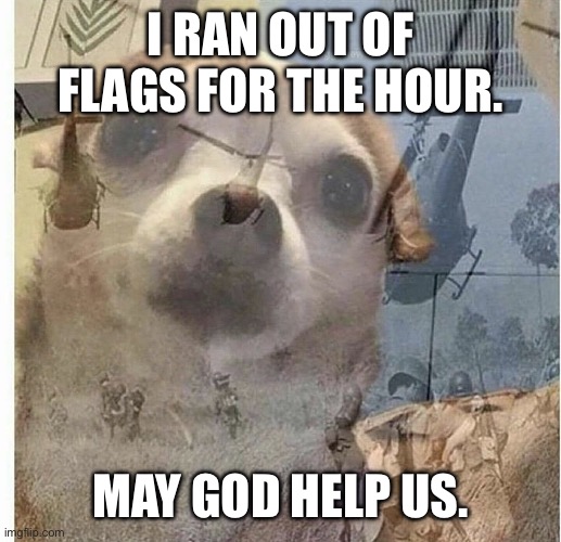 PTSD Chihuahua | I RAN OUT OF FLAGS FOR THE HOUR. MAY GOD HELP US. | image tagged in ptsd chihuahua | made w/ Imgflip meme maker