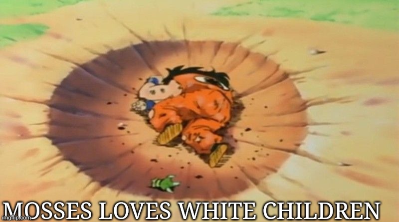 yamcha dead | MOSSES LOVES WHITE CHILDREN | image tagged in yamcha dead,moses loves white children,massachusetts | made w/ Imgflip meme maker