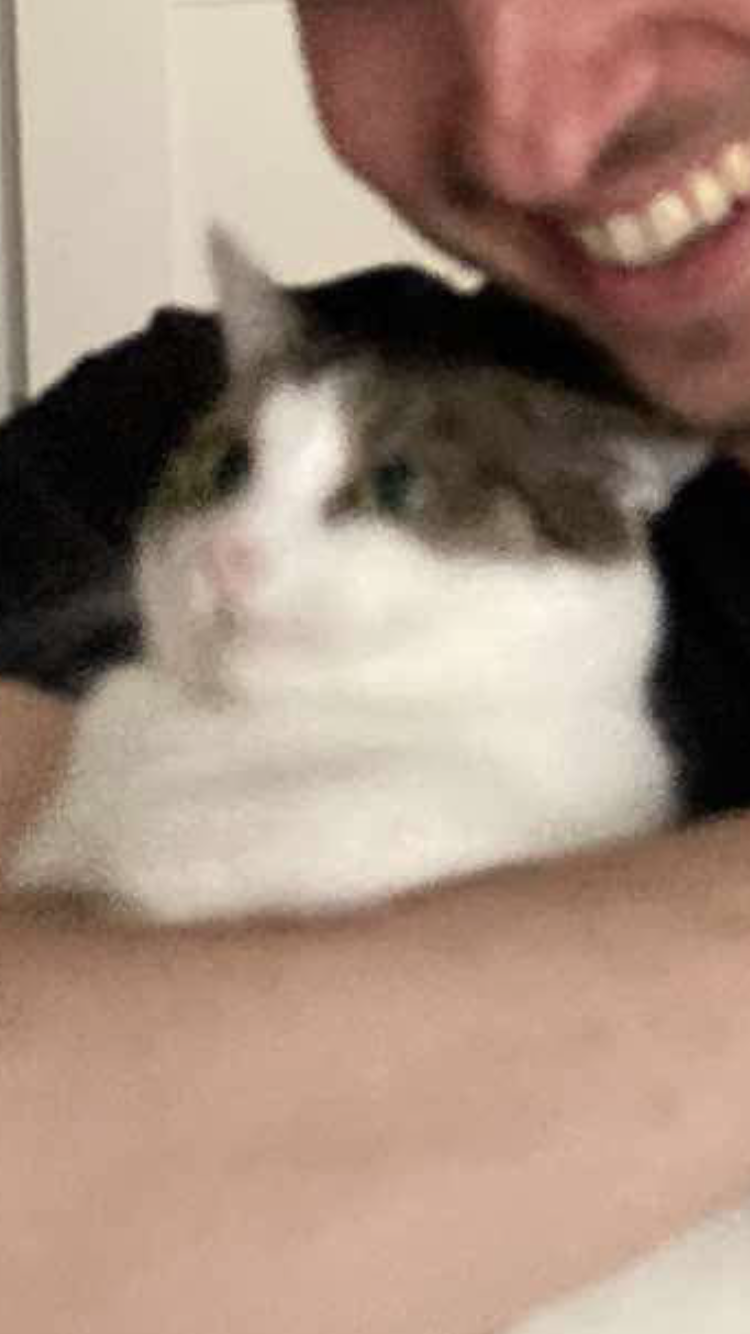 Stupid owner Blank Meme Template