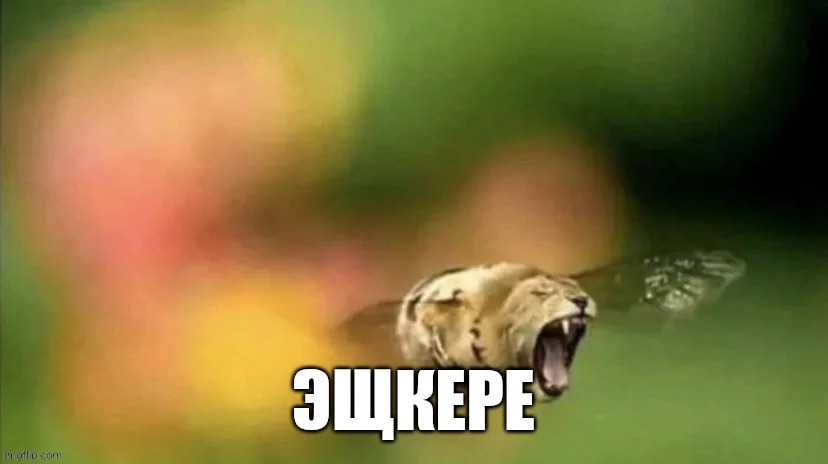 Bee Lion | ЭЩКЕРЕ | image tagged in bee lion | made w/ Imgflip meme maker