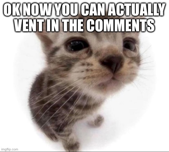 OK NOW YOU CAN ACTUALLY VENT IN THE COMMENTS | made w/ Imgflip meme maker