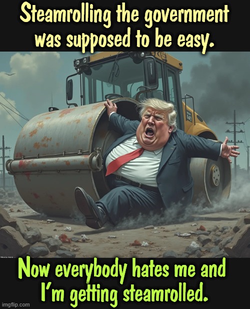Steamrolling the government was supposed to be easy. Now everybody hates me and 
I'm getting steamrolled. | image tagged in trump,steamroller,government,disaster girl,fascist,dictator | made w/ Imgflip meme maker
