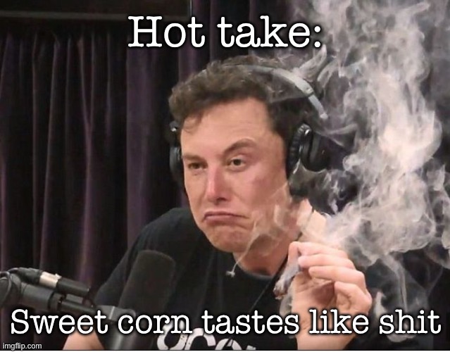 Elon Musk smoking a joint | Hot take:; Sweet corn tastes like shit | image tagged in elon musk smoking a joint,msmg | made w/ Imgflip meme maker