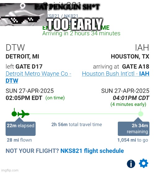 Delayed planes in a nutshell | EAT PENGUIN SH*T; TOO EARLY | image tagged in airplane | made w/ Imgflip meme maker