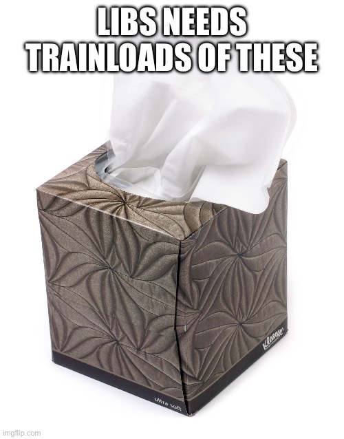 Tissue | LIBS NEEDS TRAINLOADS OF THESE | image tagged in tissue | made w/ Imgflip meme maker