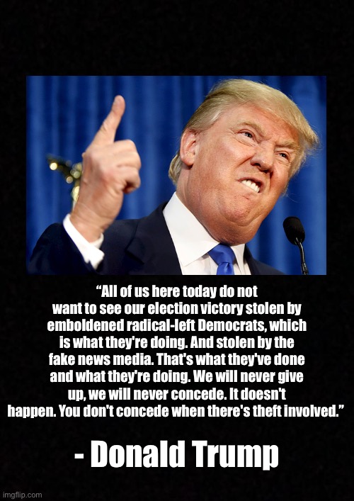 Blank  | “All of us here today do not want to see our election victory stolen by emboldened radical-left Democrats, which is what they're doing. And stolen by the fake news media. That's what they've done and what they're doing. We will never give up, we will never concede. It doesn't happen. You don't concede when there's theft involved.”; - Donald Trump | image tagged in blank | made w/ Imgflip meme maker