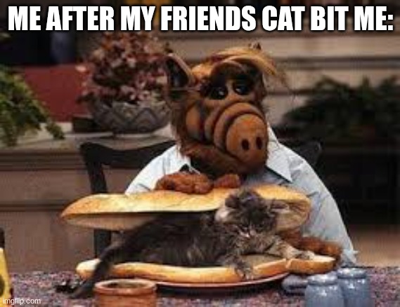 I'm not from Melmac by the way. | ME AFTER MY FRIENDS CAT BIT ME: | image tagged in alf eats a cat | made w/ Imgflip meme maker