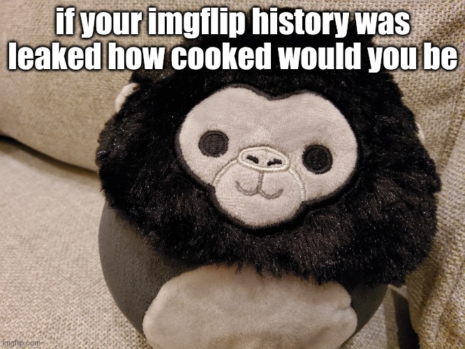 me personally I'm safe | if your imgflip history was leaked how cooked would you be | image tagged in gorilla plush | made w/ Imgflip meme maker