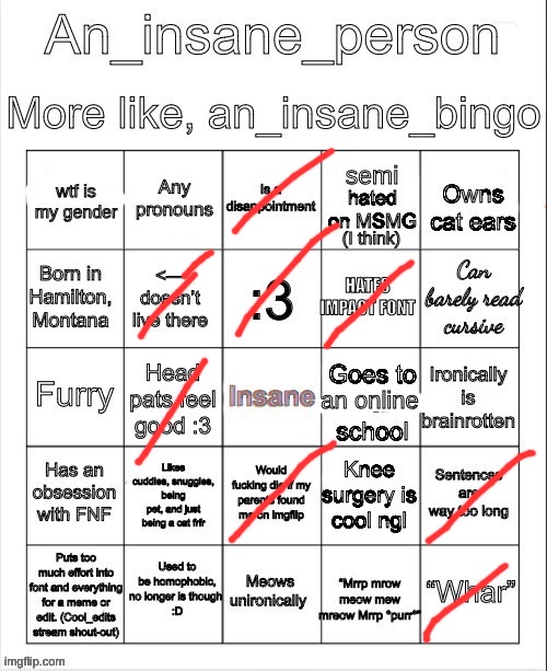 an insane bingo (April 2025) | image tagged in an insane bingo april 2025 | made w/ Imgflip meme maker