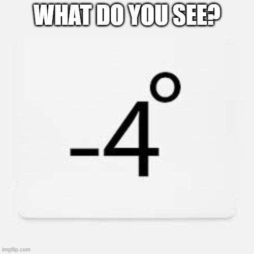 WHAT DO YOU SEE? | made w/ Imgflip meme maker