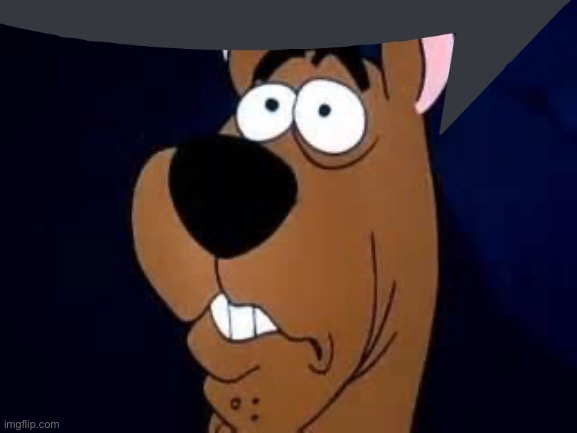 Scooby Doo Surprised | image tagged in scooby doo surprised | made w/ Imgflip meme maker