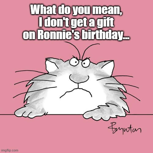 Boynton Cat birthday | What do you mean, I don't get a gift on Ronnie's birthday... | image tagged in happy birthday,ronnie,boynton,cat,grumpy cat birthday | made w/ Imgflip meme maker