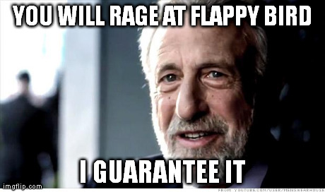 It's that hard | YOU WILL RAGE AT FLAPPY BIRD I GUARANTEE IT | image tagged in memes,i guarantee it,flappy bird | made w/ Imgflip meme maker
