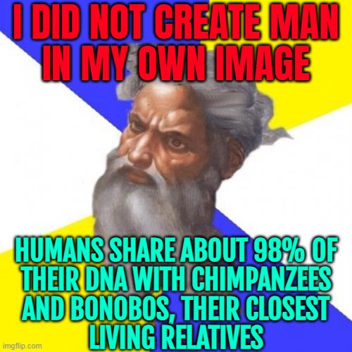 I Did Not Create Man In My Own Image; Humans Share About 98% Of Their DNA With Chimpanzees And Bonobos | I DID NOT CREATE MAN
IN MY OWN IMAGE; HUMANS SHARE ABOUT 98% OF
THEIR DNA WITH CHIMPANZEES
AND BONOBOS, THEIR CLOSEST
LIVING RELATIVES | image tagged in memes,god religion universe,god,anti-religion,religion,human evolution | made w/ Imgflip meme maker