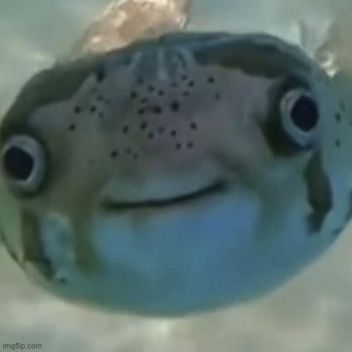 Stream mood: | made w/ Imgflip meme maker