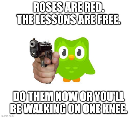 duo isn't messing around | ROSES ARE RED. THE LESSONS ARE FREE. DO THEM NOW OR YOU'LL BE WALKING ON ONE KNEE. | image tagged in duolingo gun,duo gets mad | made w/ Imgflip meme maker